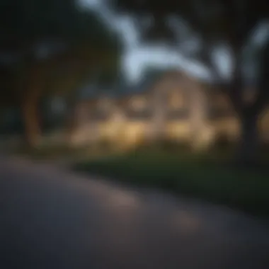 Charming residential street lined with trees in a San Antonio neighborhood