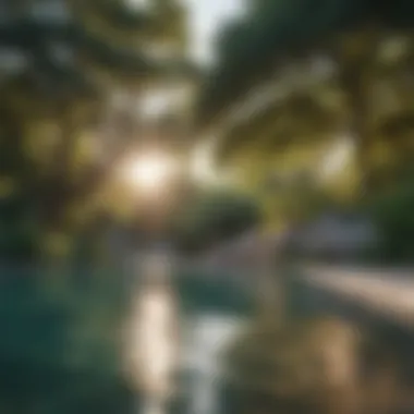 Barton Springs Pool surrounded by lush greenery, perfect for relaxation