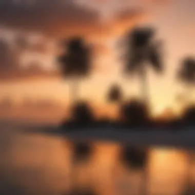 Breathtaking sunset view over Miami's coastline with palm trees in silhouette