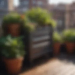 Small balcony compost setup with plants