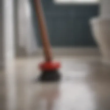 A plunger ready for action on a bathroom floor