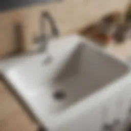 Diagram showing common causes of laundry sink clogs