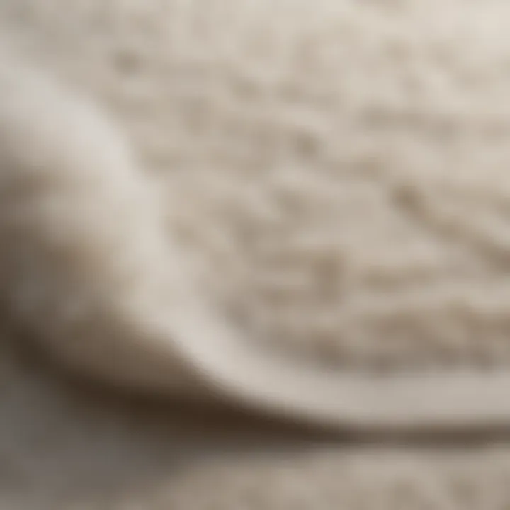 Close-up of a white rug showing its texture and fibers