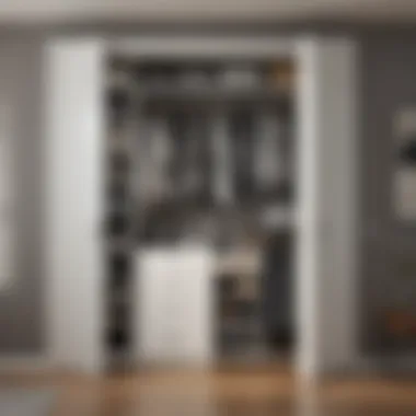 Innovative Use of Closet Door Space Utilizing door space with hanging organizers