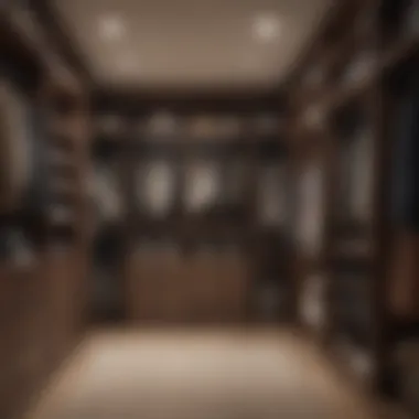 Maximizing Vertical Space in Closets Vertical storage solutions maximizing closet height