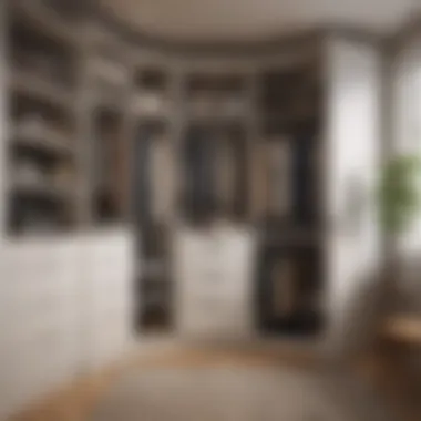 Functional Narrow Closet with Multifunctional Furniture Functional narrow closet with multifunctional furniture