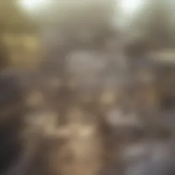 A serene neighborhood showcasing a variety of homes