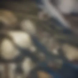 A picturesque view of Portland's skyline