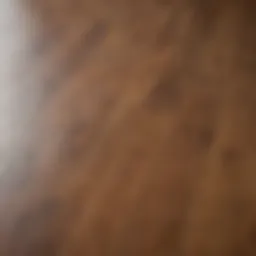 Close-up view of a well-maintained laminate wood floor highlighting its shine