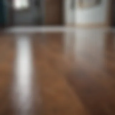 Laminate Floor Maintenance Tips