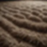 Detailed view of a shag pile rug showcasing its unique texture