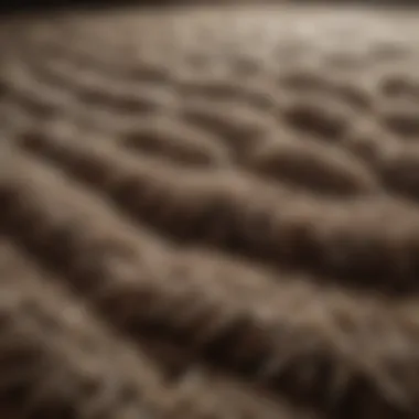 Detailed view of a shag pile rug showcasing its unique texture