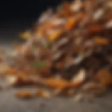 Close-up of dry leaves and kitchen scraps ready for composting.