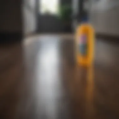 Essential cleaning products arranged neatly on a laminate surface