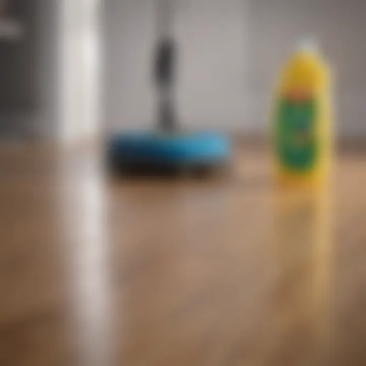Close-up of cleaning supplies for laminate care