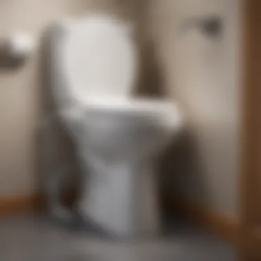 Using a Toilet Auger Effectively Step-by-step guide to using a toilet auger