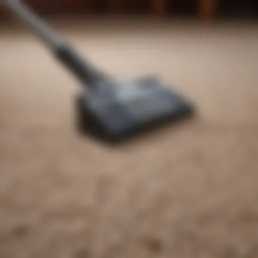 Various carpet cleaning tools arranged neatly on a surface