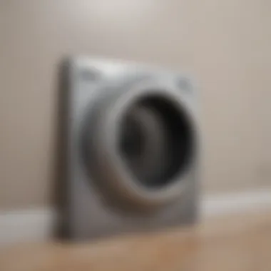 Optimal Dryer Vent Airflow A clean dryer vent showcasing optimal airflow.
