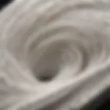 Microscopic view of toilet paper fibers
