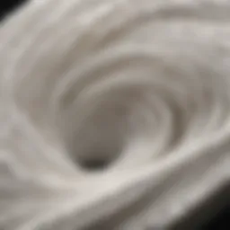 Microscopic view of toilet paper fibers