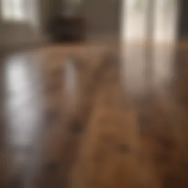 Safer Alternatives to Vinegar for Wood Floor Cleaning Alternative cleaning solutions for wood floors